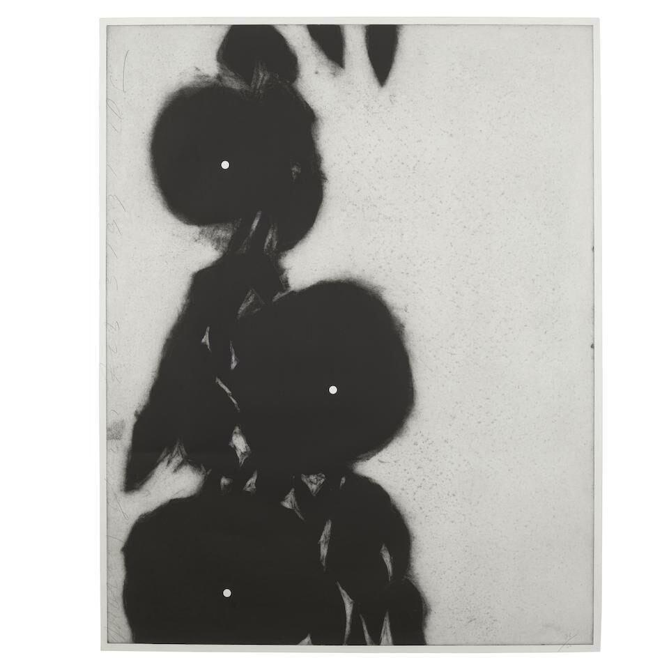 Donald Sultan - Pomegranates; Morning Glories I