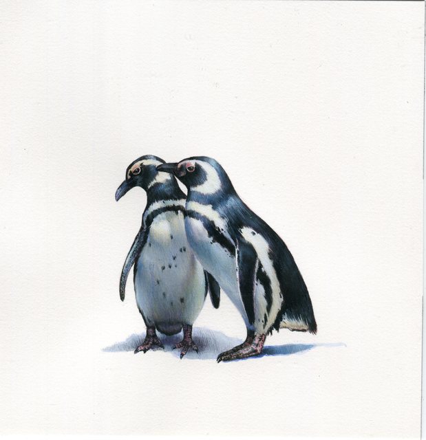 Dina Brodsky, ‘Two Penguins’, 2019, Drawing, Collage or other Work on Paper, Watercolor and gouache on paper, Garvey | Simon