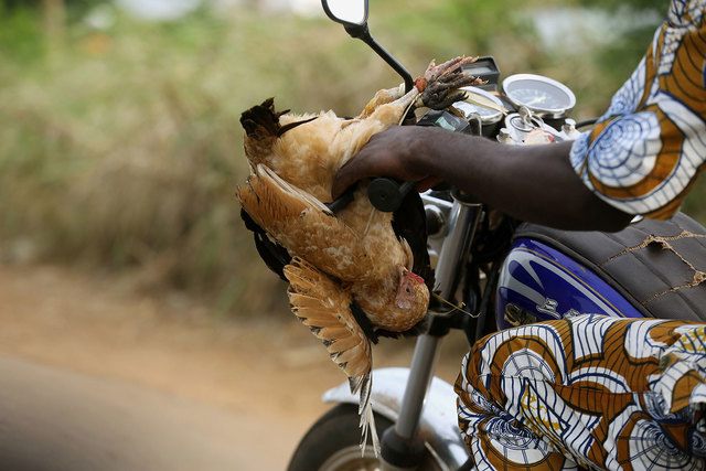 Cesar Fraga, ‘Gran Popo, Benin’, 2014, Arte Fundamental