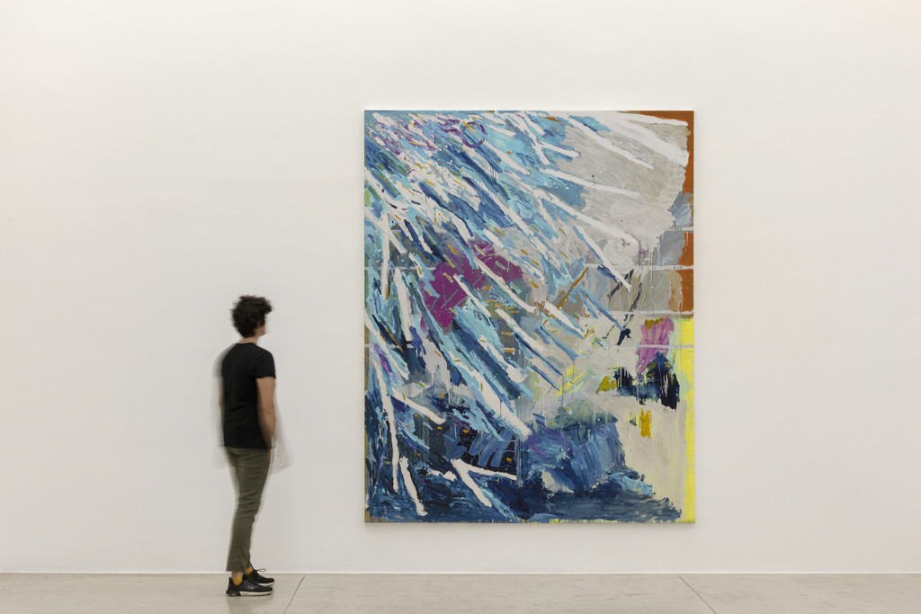 exhibition view -- photo Everton Ballardin © courtesy of the artist and Galeria Nara Roesler exhibition view -- photo Everton Ballardin © courtesy of the artist and Galeria Nara Roesler