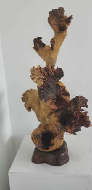 Lucia Camargo, ‘Flor Tereza’, 2012, Ligia Testa Espaço de Arte
