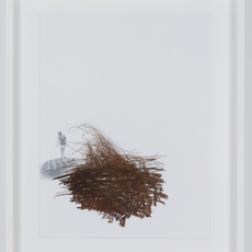 Peggy Preheim