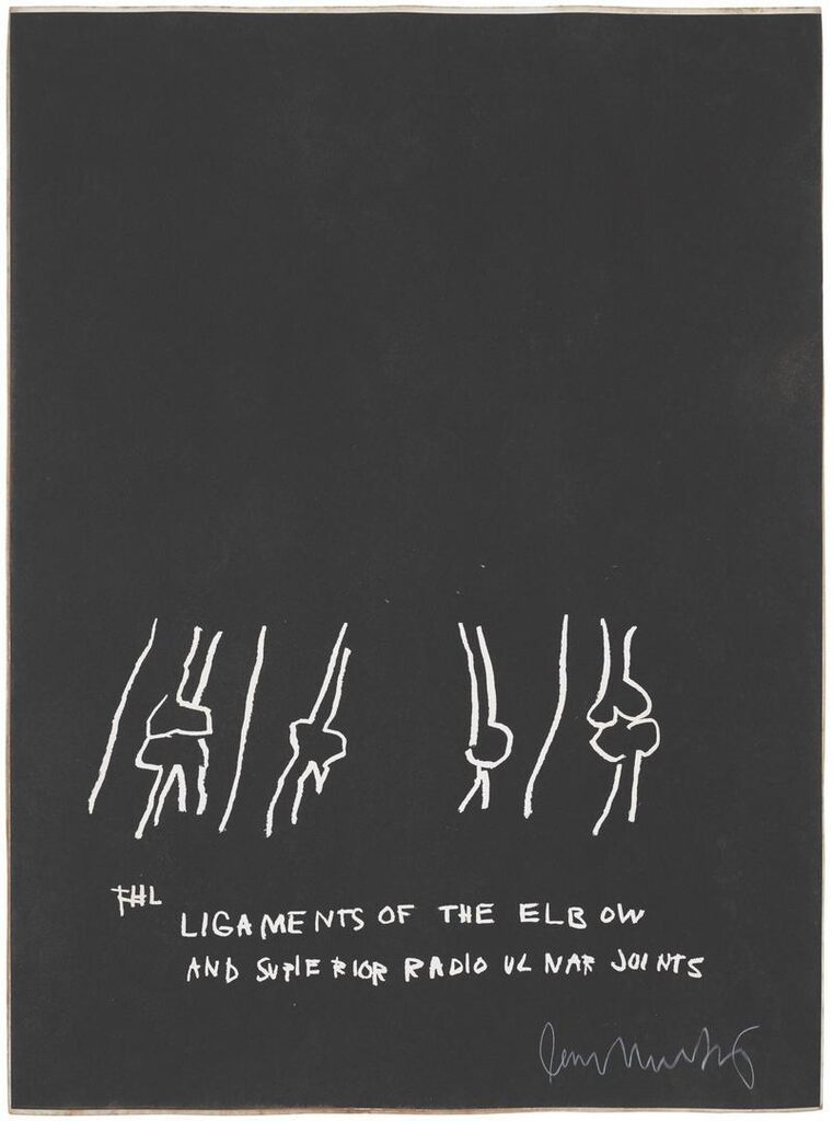 Jean-Michel Basquiat - Untitled (The Ligaments of the Elbow and Superior Radio Ulnar Joints), from Anatomy