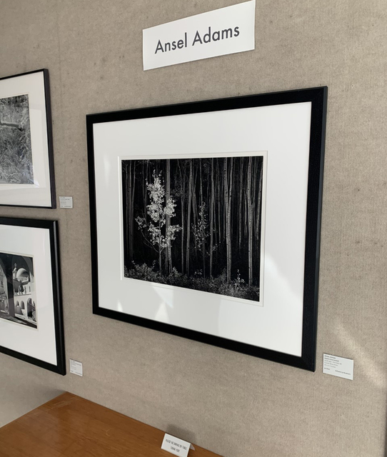Ansel Adams, ‘Aspens, Northern New Mexico’, 1958, Weston Gallery