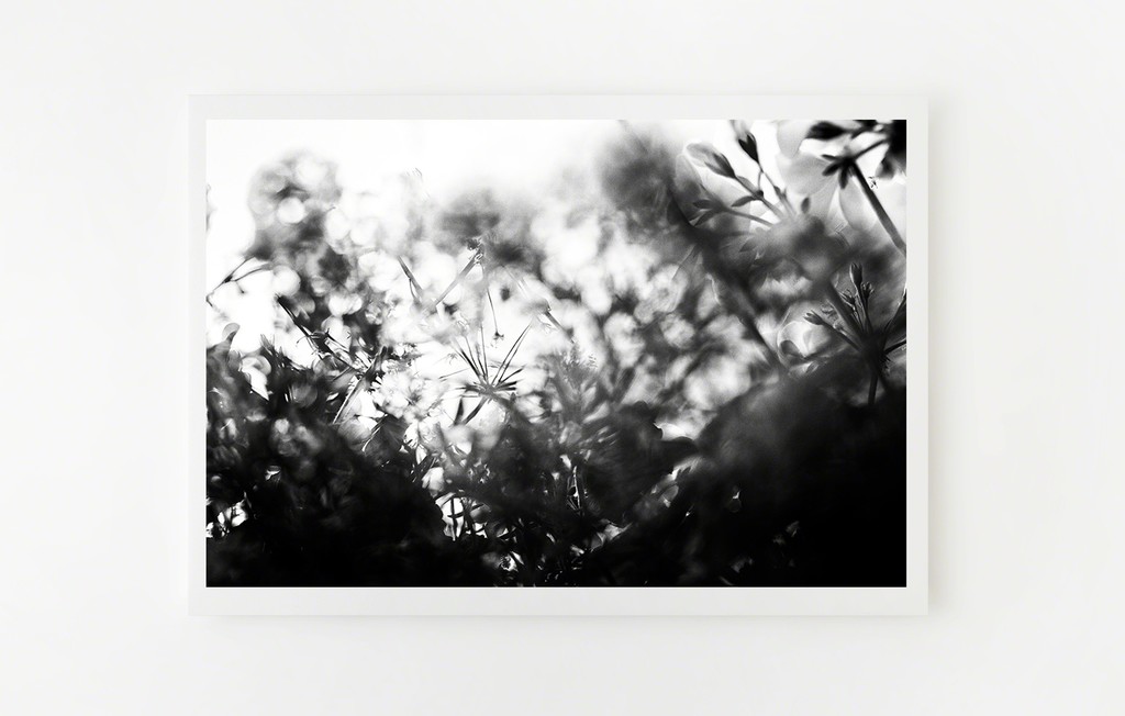 Pursuit of Happiness 004, Martina + Reem, available at theprintatelier.com Pursuit of Happiness 004, Martina + Reem, available at theprintatelier.com