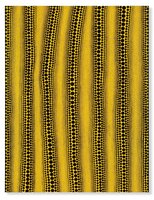 Yayoi Kusama - Infinity-Dots (Ennz)