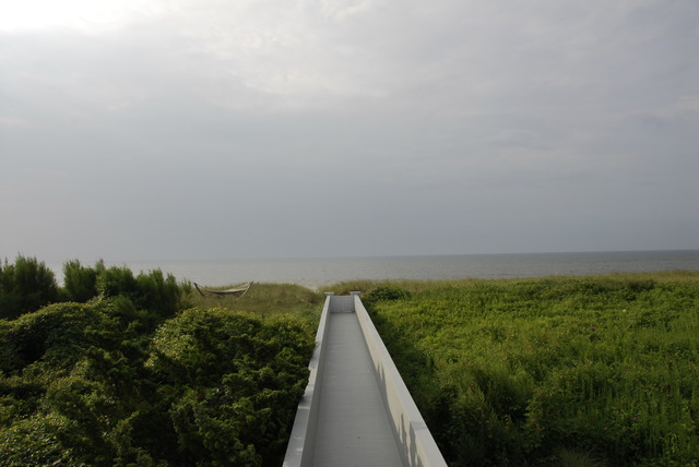 David S. Allee, ‘Erika's Walkway (Summer)’, 2012, Morgan Lehman Gallery