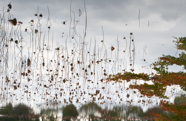 Ori Gersht, ‘Hanging Sky 03’, 2016, Talley Dunn Gallery
