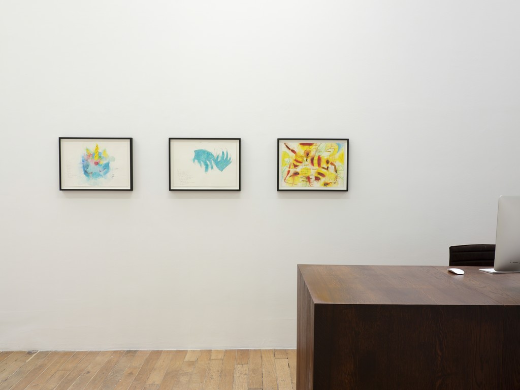 José María Sicilia, Phasma, exhibition view at Galerie Chantal Crousel, Paris (Jan. 27 - March 3, 2018). Photo: Florian Kleinefenn José María Sicilia, Phasma, exhibition view at Galerie Chantal Crousel, Paris (Jan. 27 - March 3, 2018). Photo: Florian Kleinefenn