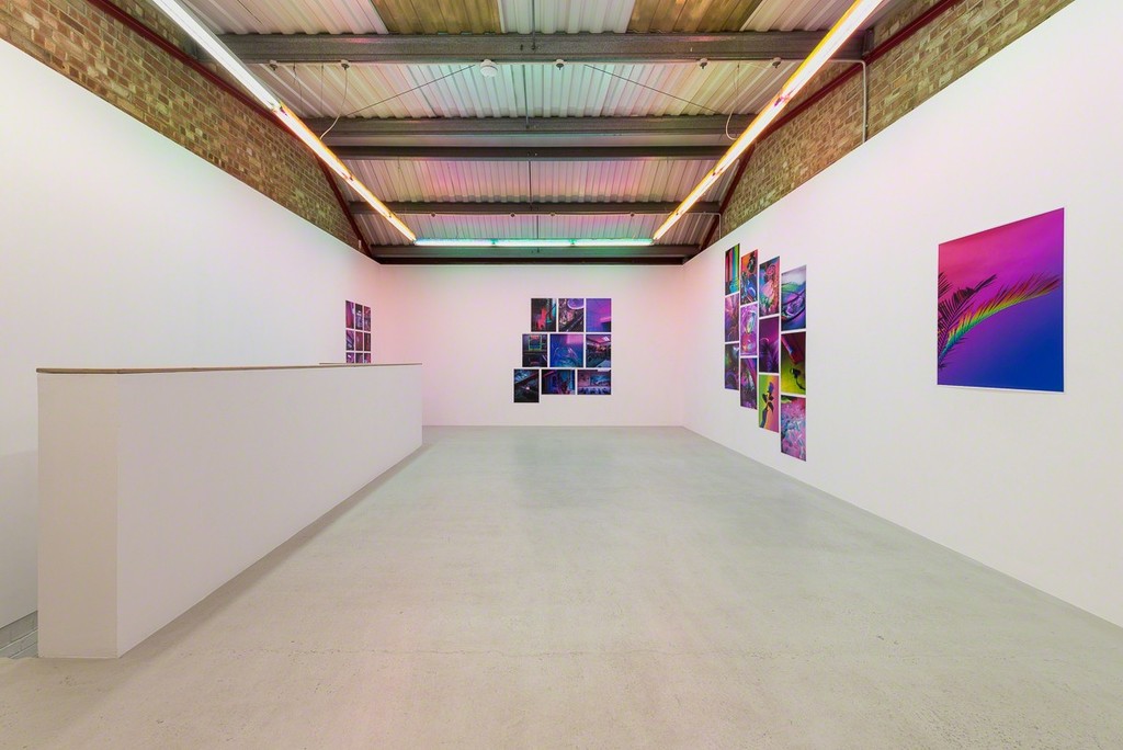 Installation view, Signe Pierce 'Faux Realities' at Annka Kultys Gallery, London, 2017 Photo: Annka Kultys Gallery (Damian Griffiths) Installation view, Signe Pierce 'Faux Realities' at Annka Kultys Gallery, London, 2017 Photo: Annka Kultys Gallery (Damian Griffiths)