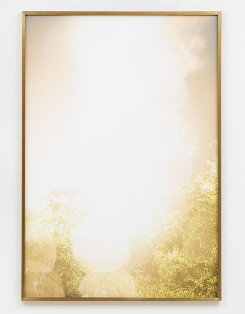 Julius von Bismarck, ‘Talking to Thunder (Bright Tree)’, 2017, Photography, Fine Art Print on Photo Rag Baryta, Sies + Höke