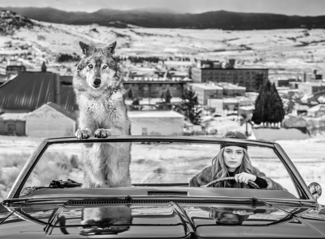 David Yarrow, ‘Bonnie and Clyde’, 2020, Photography, Archival Pigment Print, Samuel Lynne Galleries