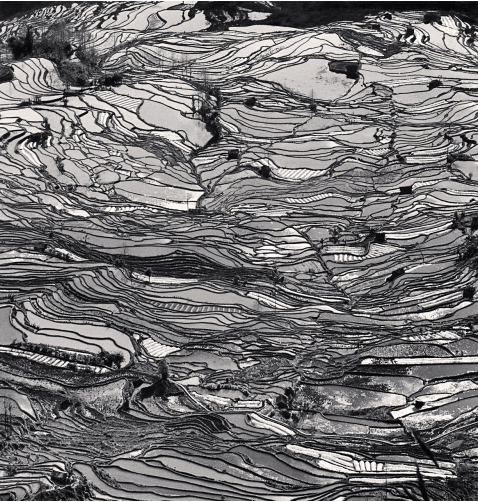 Michael Kenna, ‘Yuanyang, Study 5, Yunnan, China’, 2013, Photography, Gelatin Silver Print, Weston Gallery