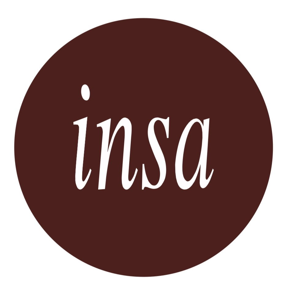 Insa Gallery logo