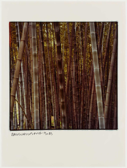 Robert Rauschenberg, ‘Studies for Chinese Summerhall’, 1983, Graphicstudio USF