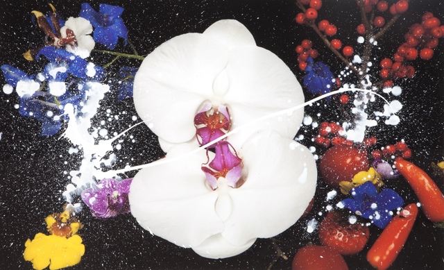 Marc Quinn, ‘Constellations’, 2011, Grob Gallery