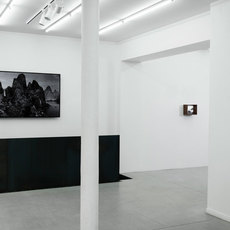 Yang Yongliang - Time Immemorial