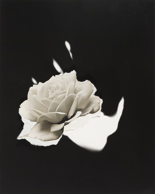 Jay DeFeo, ‘Untitled’, 1973, Mixed Media, Collage with gelatin silver print, paper, and paint on gelatin silver print, San Francisco Museum of Modern Art (SFMOMA)