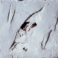 Mario Arlati