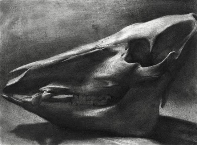 Evan Kitson, ‘Boar Skull’, 2018, IX Gallery
