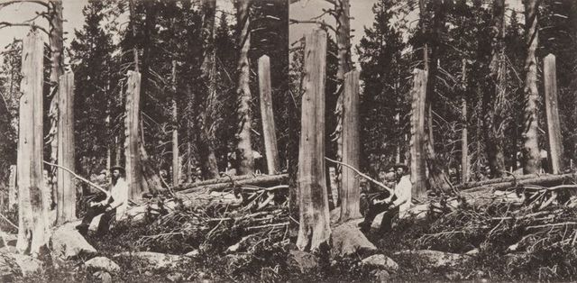 Danh Vō, ‘Snowfall, northern Sierras, 1847’, 2014, Print, Photogravure print, kurimanzutto