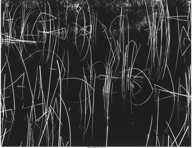 Brett Weston, ‘Reeds and Black Water’, 1975, Heritage Auctions