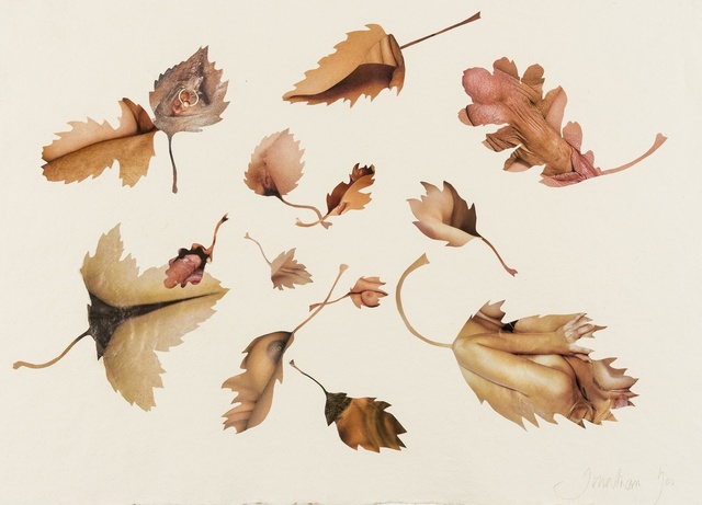 Jonathan Yeo, ‘Leaf Study’, 2009, Drawing, Collage or other Work on Paper, Collage on thick cream wove paper, Forum Auctions