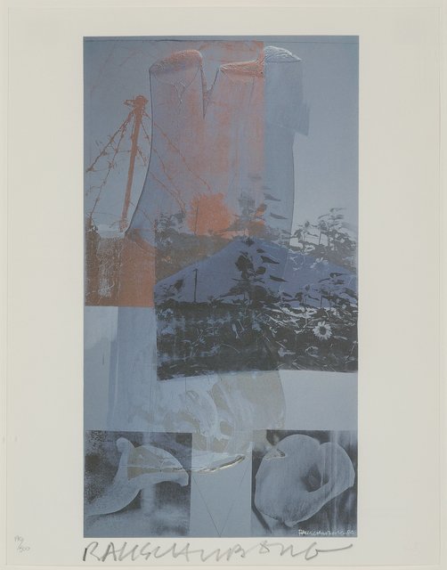 Robert Rauschenberg, ‘Tanya's Veil (Whale)’, 1992, Heritage Auctions