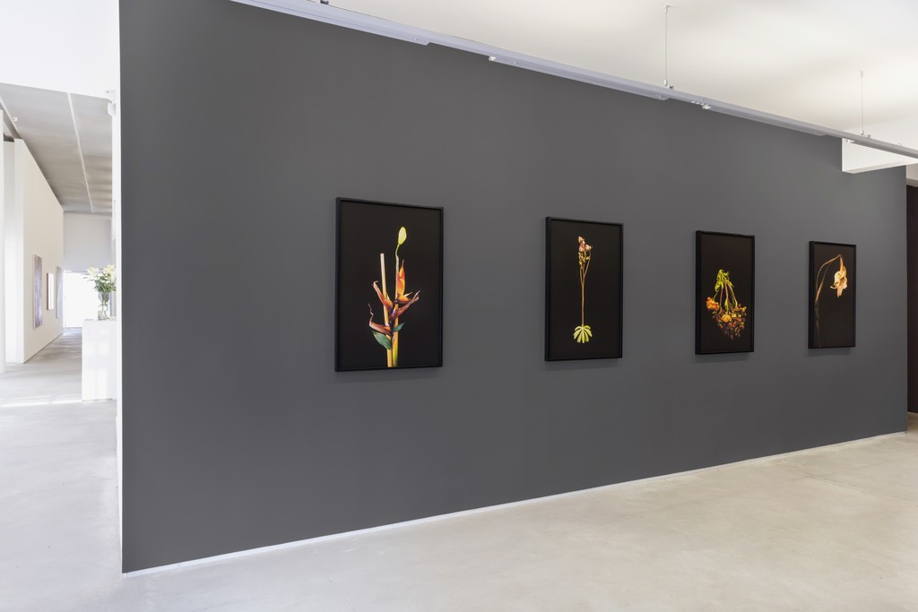 MARIANA PALMA . CASA TRIÂNGULO, 2017. PHOTO: FILIPE BERNDT MARIANA PALMA . CASA TRIÂNGULO, 2017. PHOTO: FILIPE BERNDT