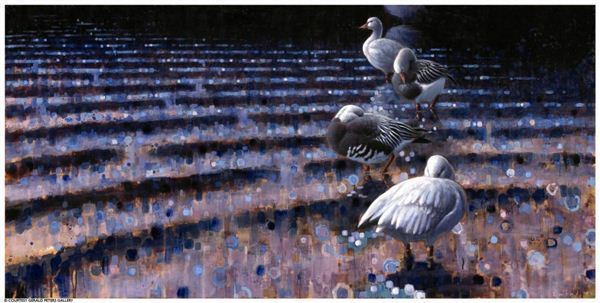 Ewoud De Groot, ‘Preening Snowgeese’, 2007, Gerald Peters Gallery