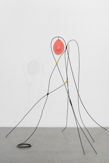 Carin Ellberg, ‘Plants’, 2016, Andréhn-Schiptjenko