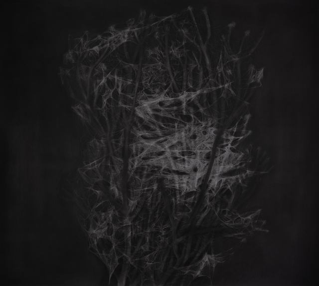 Blind Light, Deaf Darkness