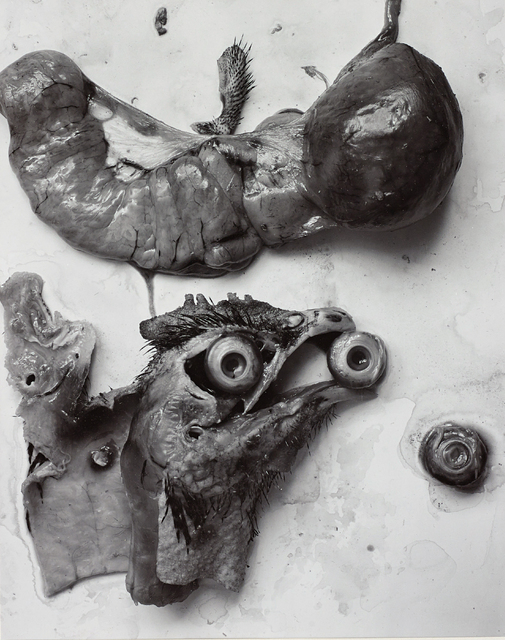 Frederick Sommer | The Anatomy of a Chicken (1939) | Artsy