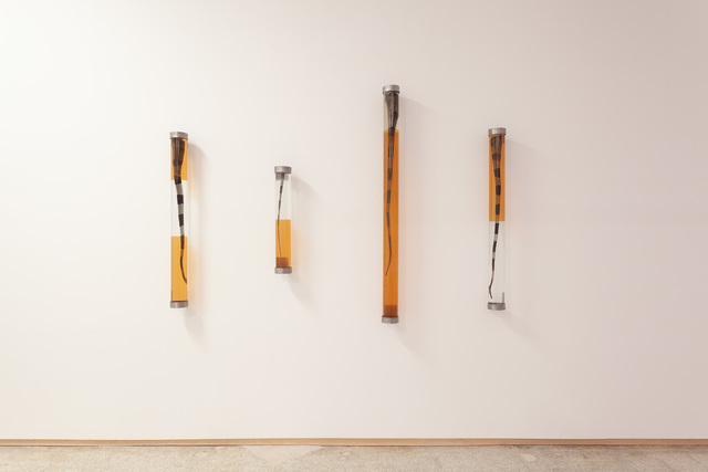 Santiago Reyes Villaveces, ‘Regeneration’, 2019, Sculpture, Four Miami iguana tails, acrylic tubing, formalin and steel., Emerson Dorsch