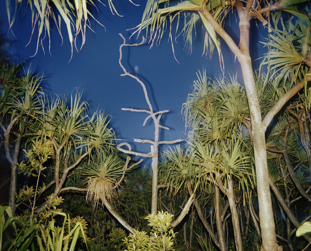 Richard Misrach, ‘Untitled (Hawaii XV)’, 1978, Photography, Pigment print, Fraenkel Gallery