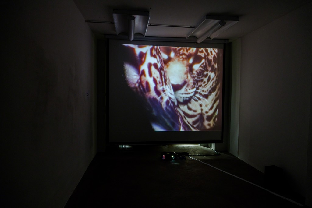 Doris Schmid, "BLINK", 2-channel video installation, 2013 | image: ©dasesszimmer Doris Schmid, "BLINK", 2-channel video installation, 2013 | image: ©dasesszimmer