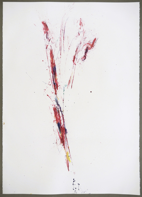Maria Thereza Alves, ‘Unrejected wild flora ’, 2017, Alfonso Artiaco