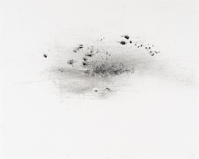 ''Dust'' Series — Çağla Köseoğulları (2023)
