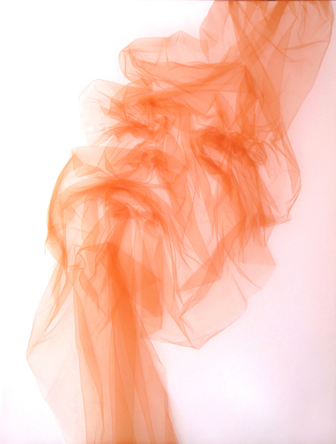 Benjamin Shine, ‘Transcendence’, 2016, Installation, Tulle on canvas, BOCCARA ART
