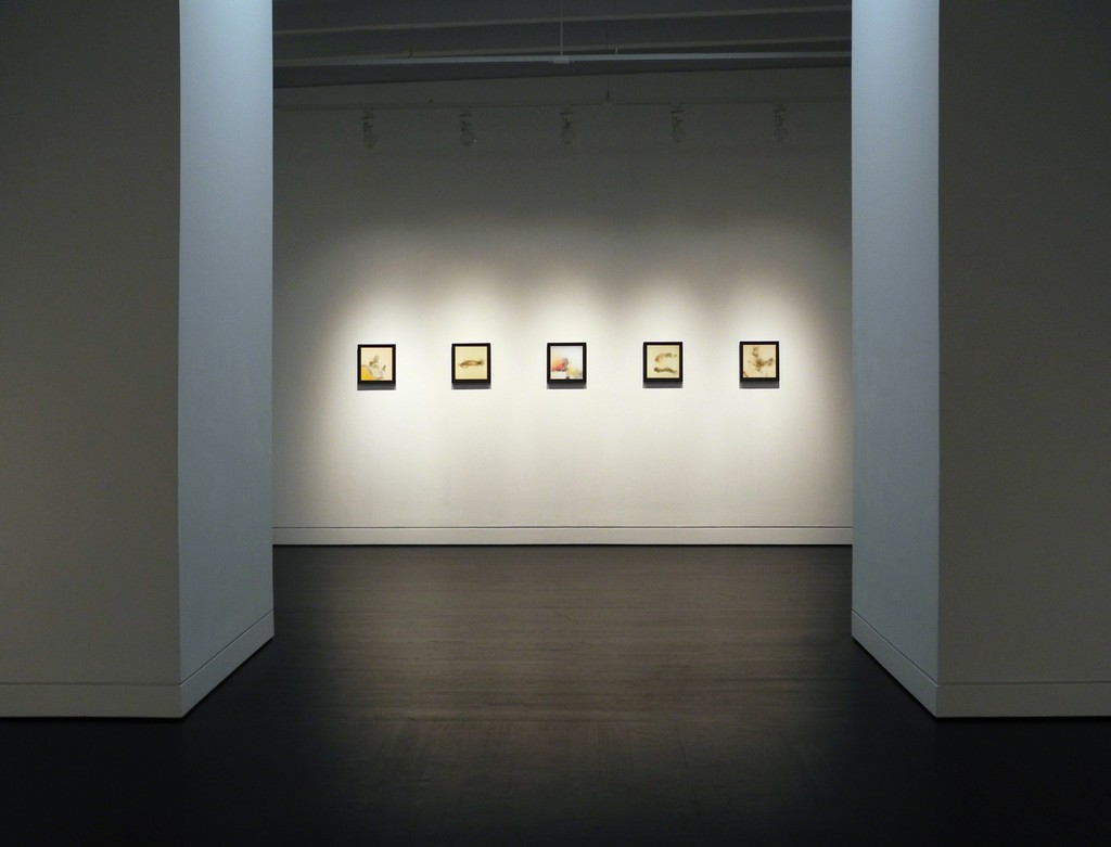 Rockne Krebs: The Smoke Drawings, March 19, 2016 - April 30, 2016, HEMPHILL Fine Arts, Washington DC Rockne Krebs: The Smoke Drawings, March 19, 2016 - April 30, 2016, HEMPHILL Fine Arts, Washington DC