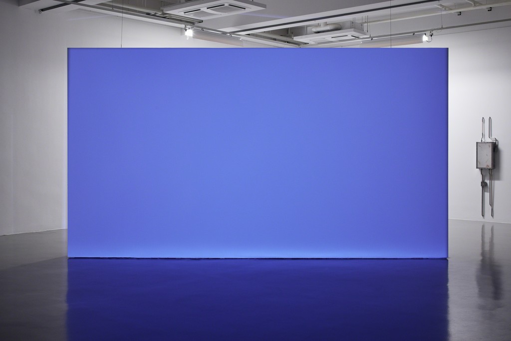 Pamela Rosenkranz, Living Colors, 2012. "Inhuman" at Fridericianum, 2015 © Achim Hatzius Pamela Rosenkranz, Living Colors, 2012. "Inhuman" at Fridericianum, 2015 © Achim Hatzius