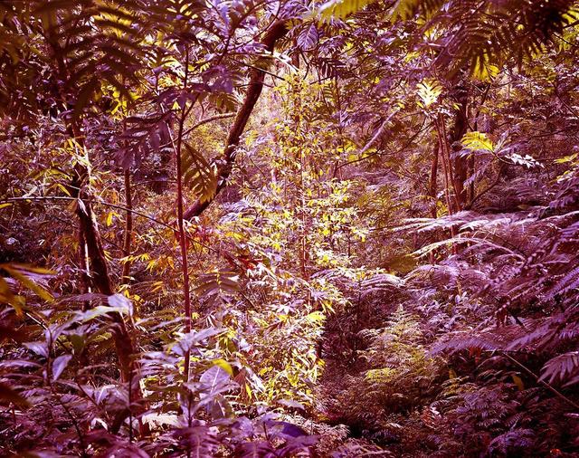 Yojiro Imasaka, ‘Trade Winds Color 37’, 2018, Photography, Chromogenic print, MIYAKO YOSHINAGA