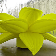 Choi Jeong Hwa