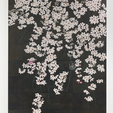 Kiwako Suzuki