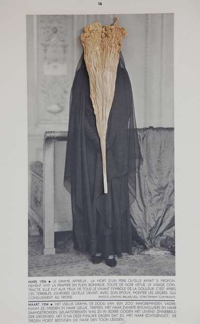 Lien Botha, ‘Plant Press Moonflower’, 2009, Photography, Archival pigment print, Barnard