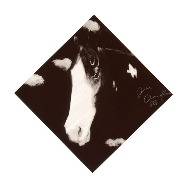 Joe Andoe, ‘Two Horses I’, 1998, Madelyn Jordon Fine Art