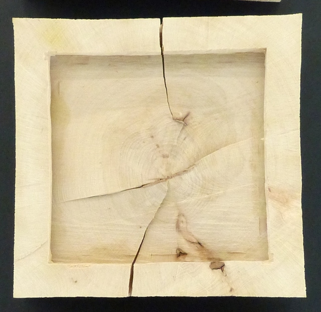 Urs P.-Twellmann, ‘Buche Quadratisch’, 2016, GALERIE URS REICHLIN