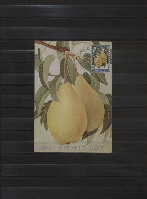 Donald Evans, ‘Achterdijk. 1966. Pears of Achterdijk (Fondante de Charneu of Legipont)’, 1972, Mixed Media, Watercolor on postcard, Tibor de Nagy
