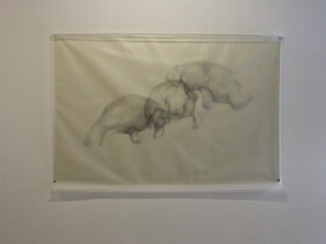 Avish Khebrehzadeh, ‘Three Manatees’, 2009, Fort Worth Contemporary Arts