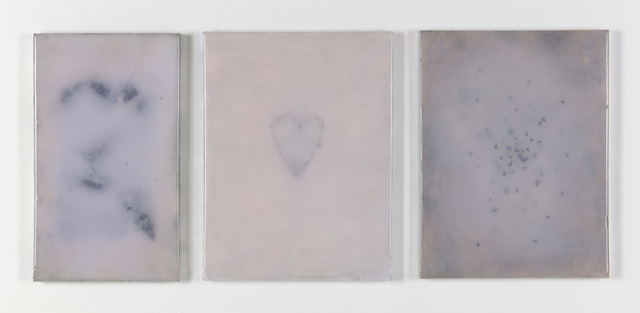 Adriano Amaral, ‘Untitled’, 2020, Painting, Aluminium frames, rigid foam, prosthetic rubber, seeds, prints and pigments on panel (triptych), Galerie Fons Welters